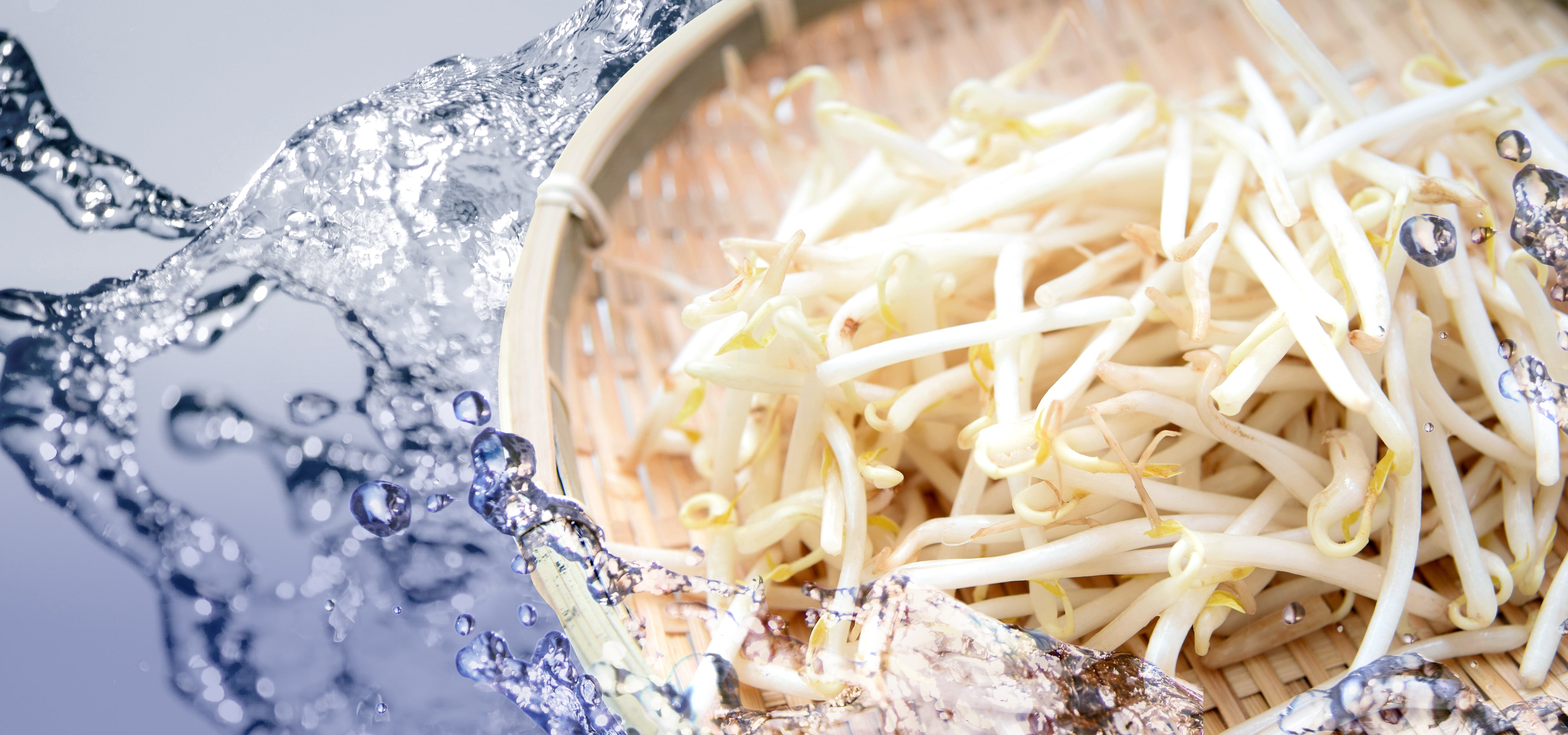 水と豆にこだわり健康と安心を食卓にお届けします