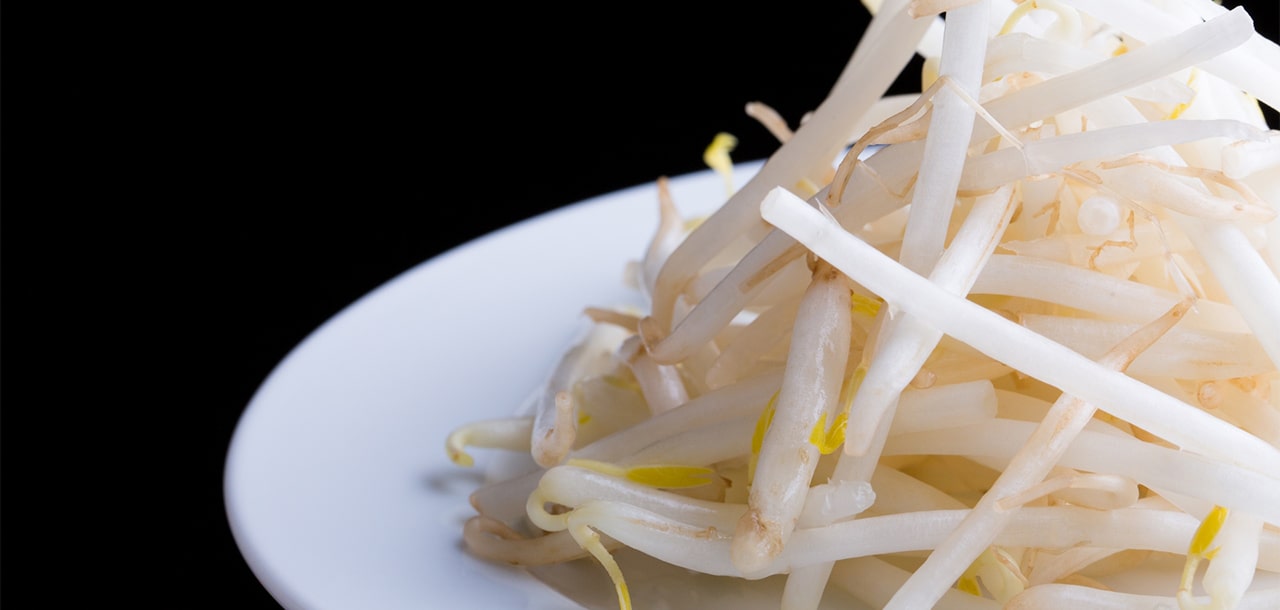 昭和30年創業の実績と経験