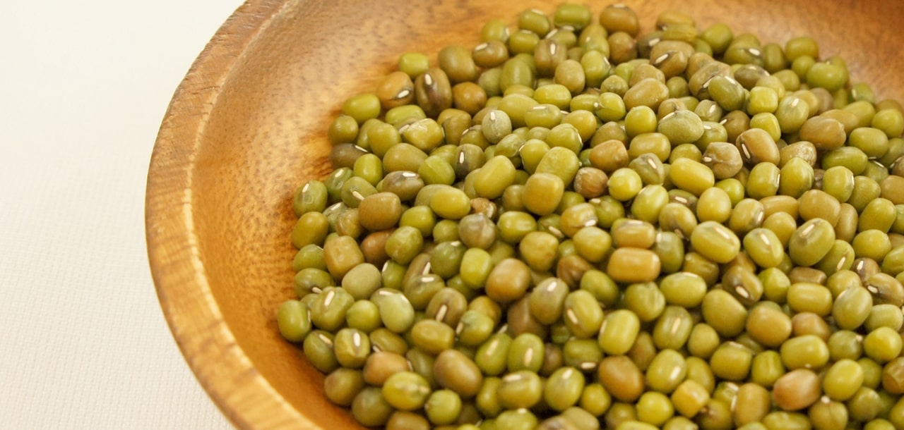 一粒の豆にこだわっています